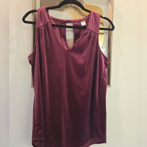 Old Navy Velvet Top